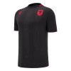 Camiseta de fútbol Albania Tercera Equipación 2024-25 - Hombre